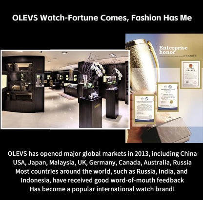 OLEVS Top Brand Men's Watches Business Fashion Original Quartz Watch for Man Grey Dial Moon Phase Date Chronograph Waterproof